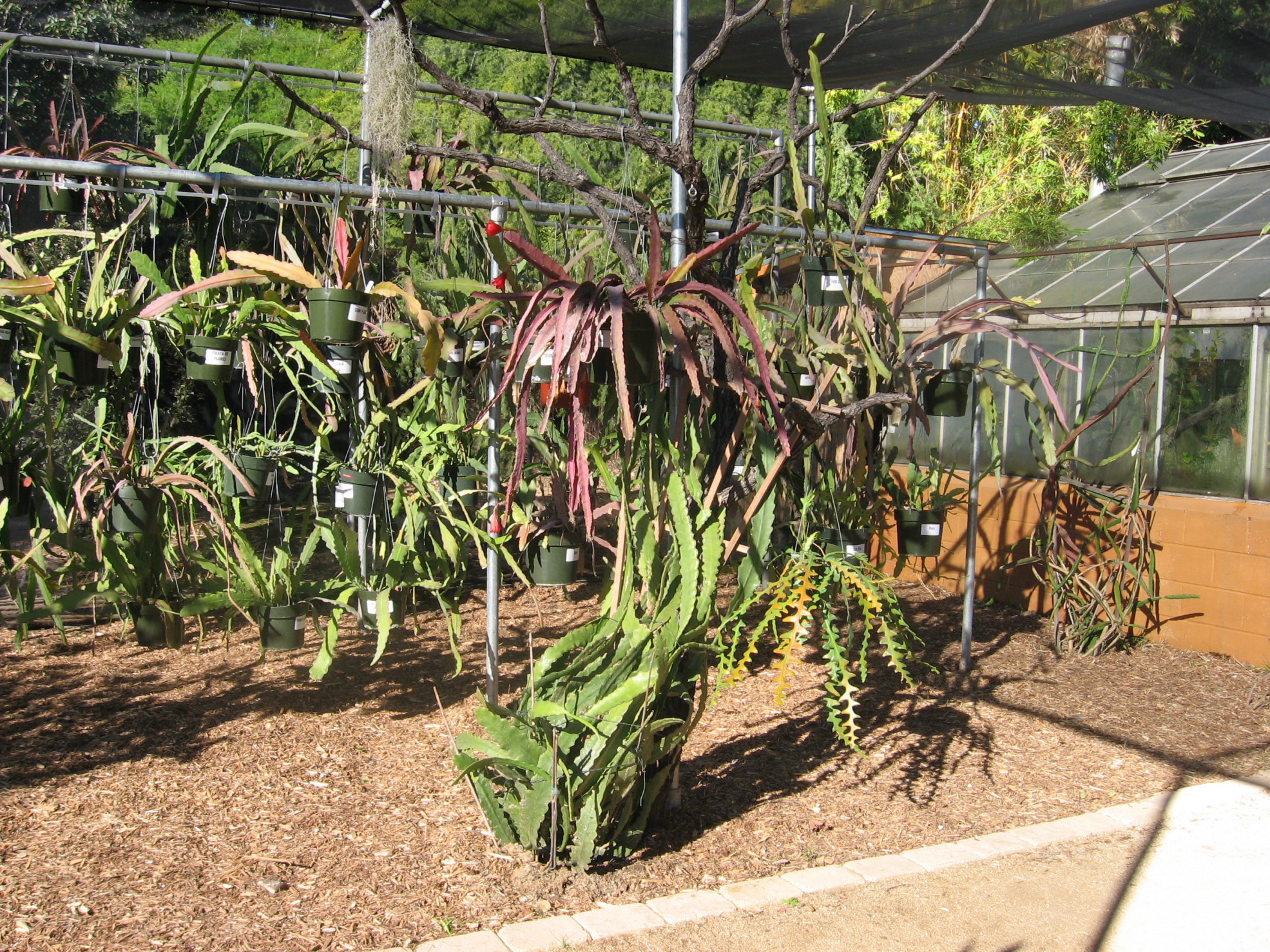 New addition to the collection