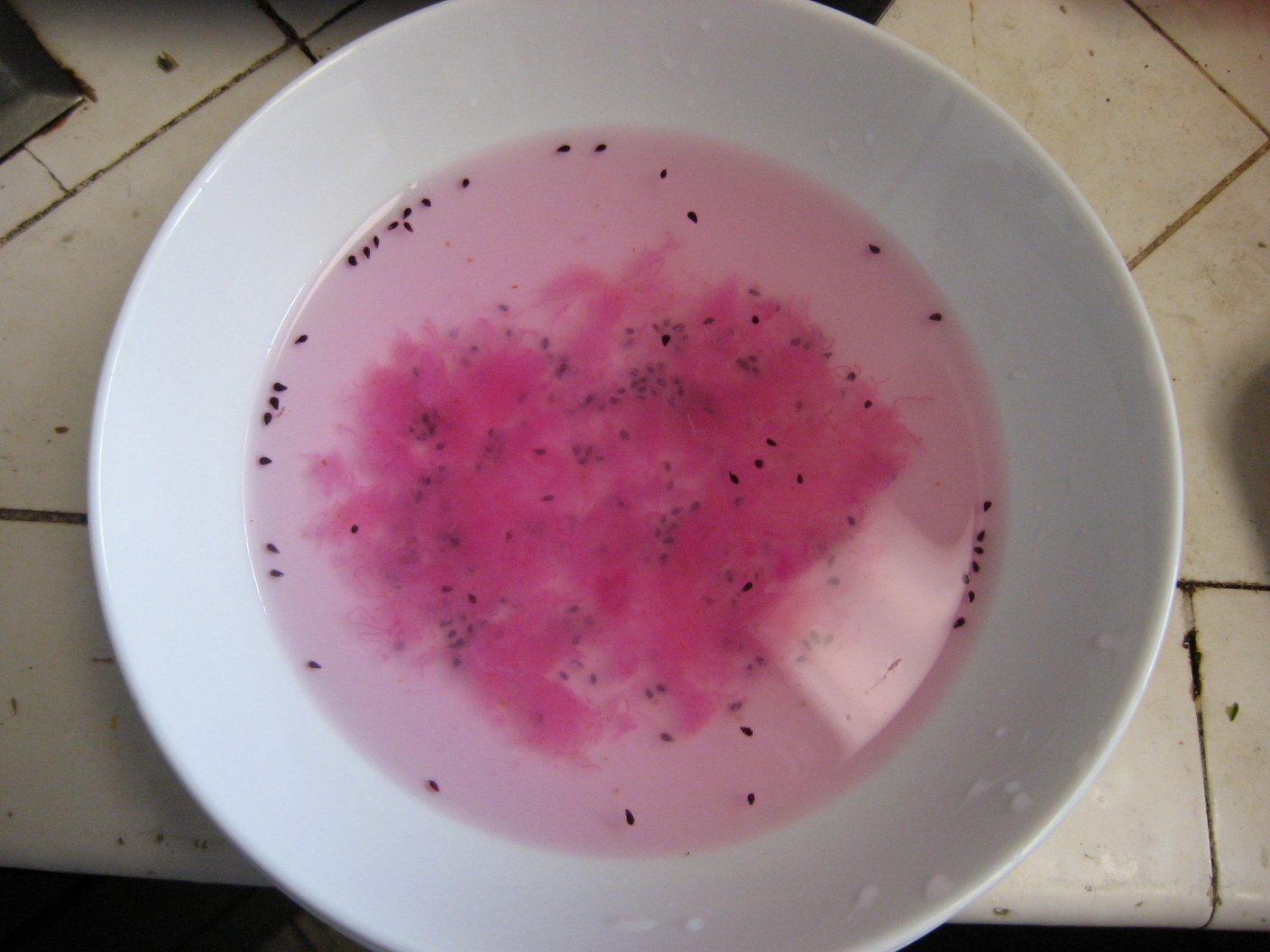 THE BAD SEEDS WILL FLOAT 